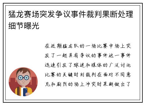 猛龙赛场突发争议事件裁判果断处理细节曝光 猛龙赛场突发争议事件裁判果断处理细节曝光